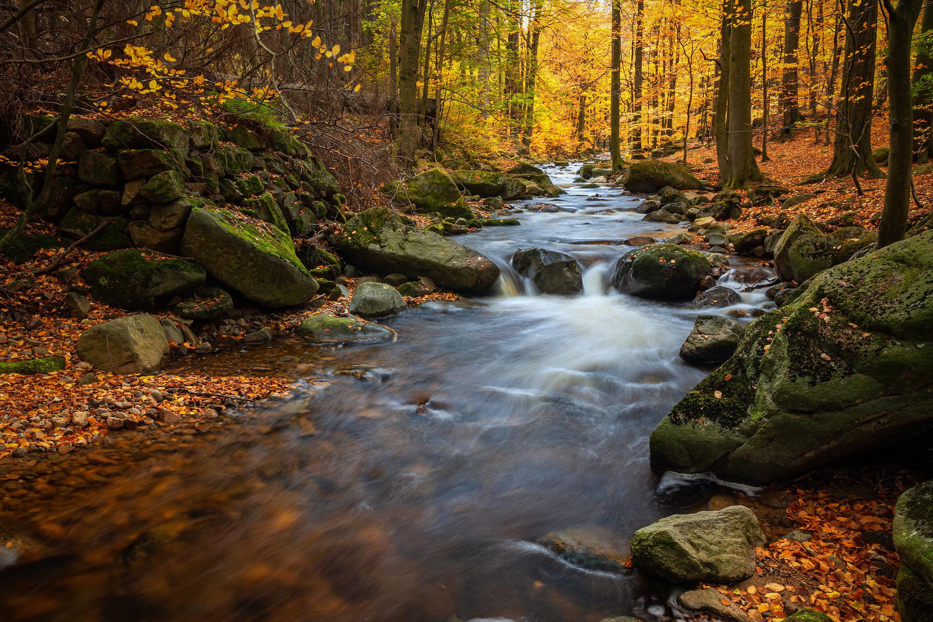 Ruisseau d'automne